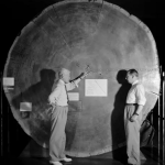 Dendrochronology in Architecture- Buildings and Structures-Sheet3