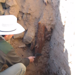 Dendrochronology in Architecture- Buildings and Structures-Sheet5