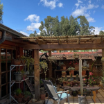 A Residence Built from Reclaimed Materials Preserving Urban Memory in Addis Ababa-Sheet10