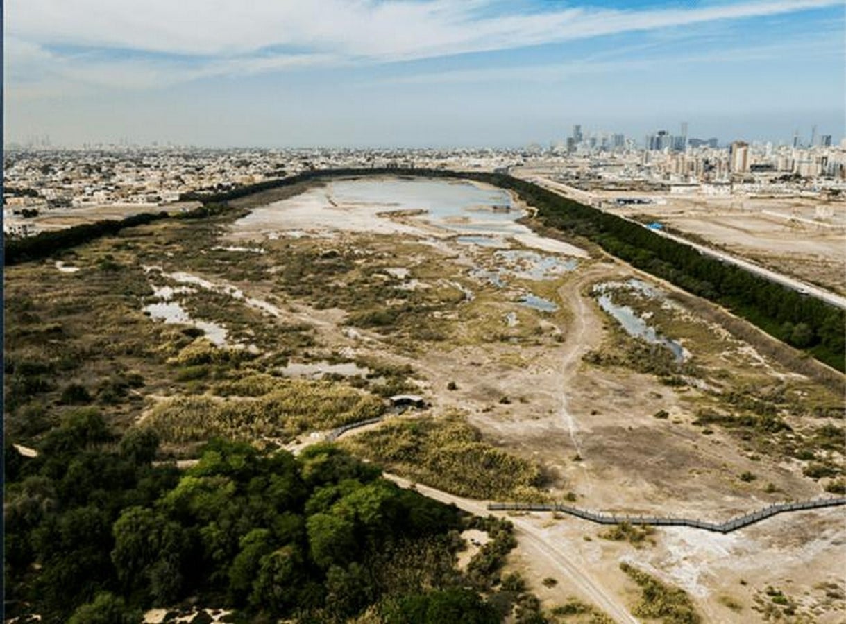 Wasit Wetland Centre, Sharjah,UAE-Sheet4