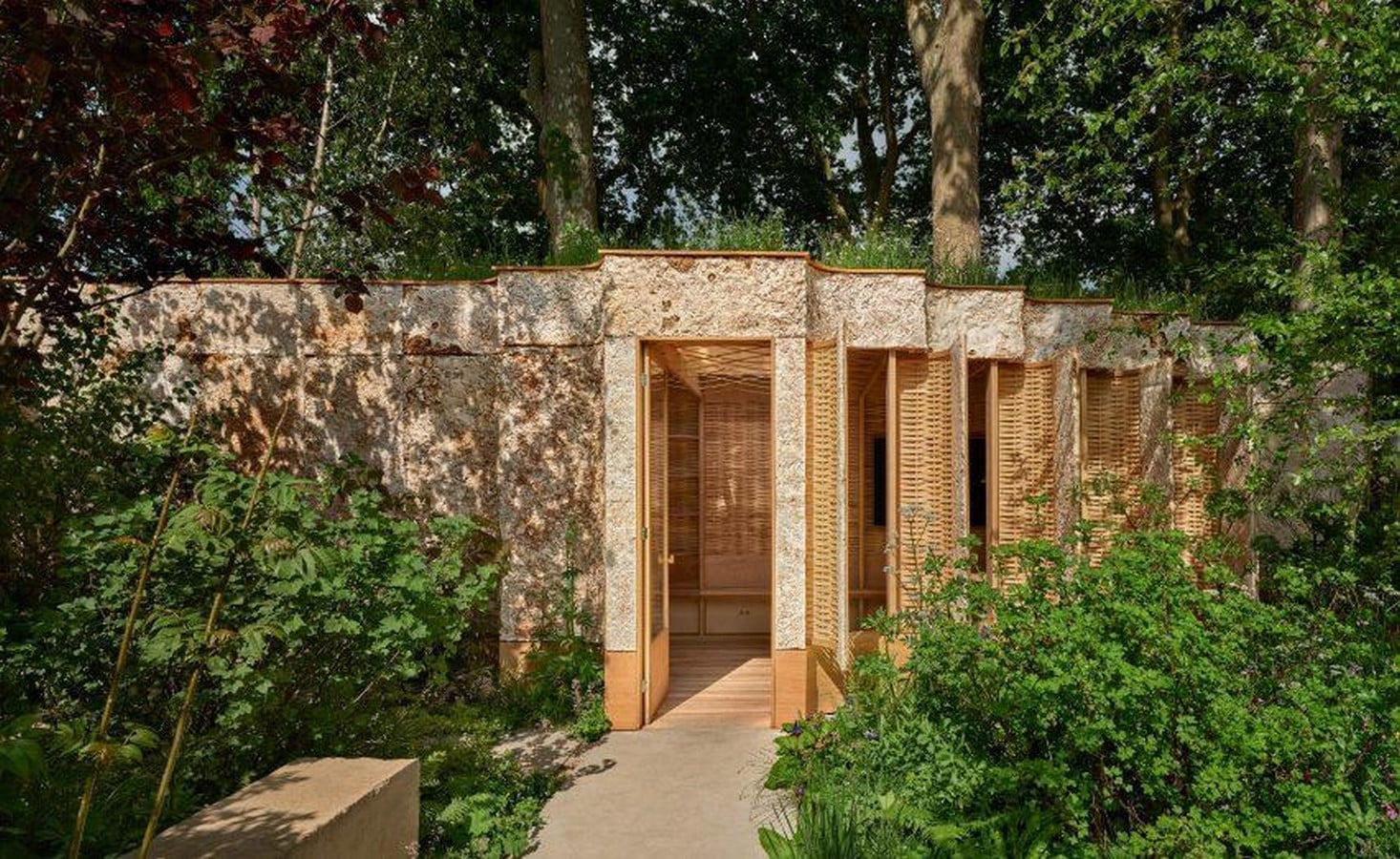 Bio-Based Beauty Mycelium, Hemp, and Timber as New Luxury Materials-Sheet7