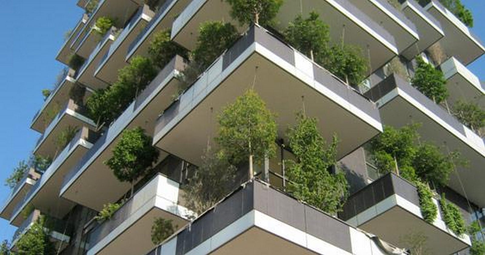 Is the Bosco Verticale a Real Solution or Just Expensive Foliage-Sheet1