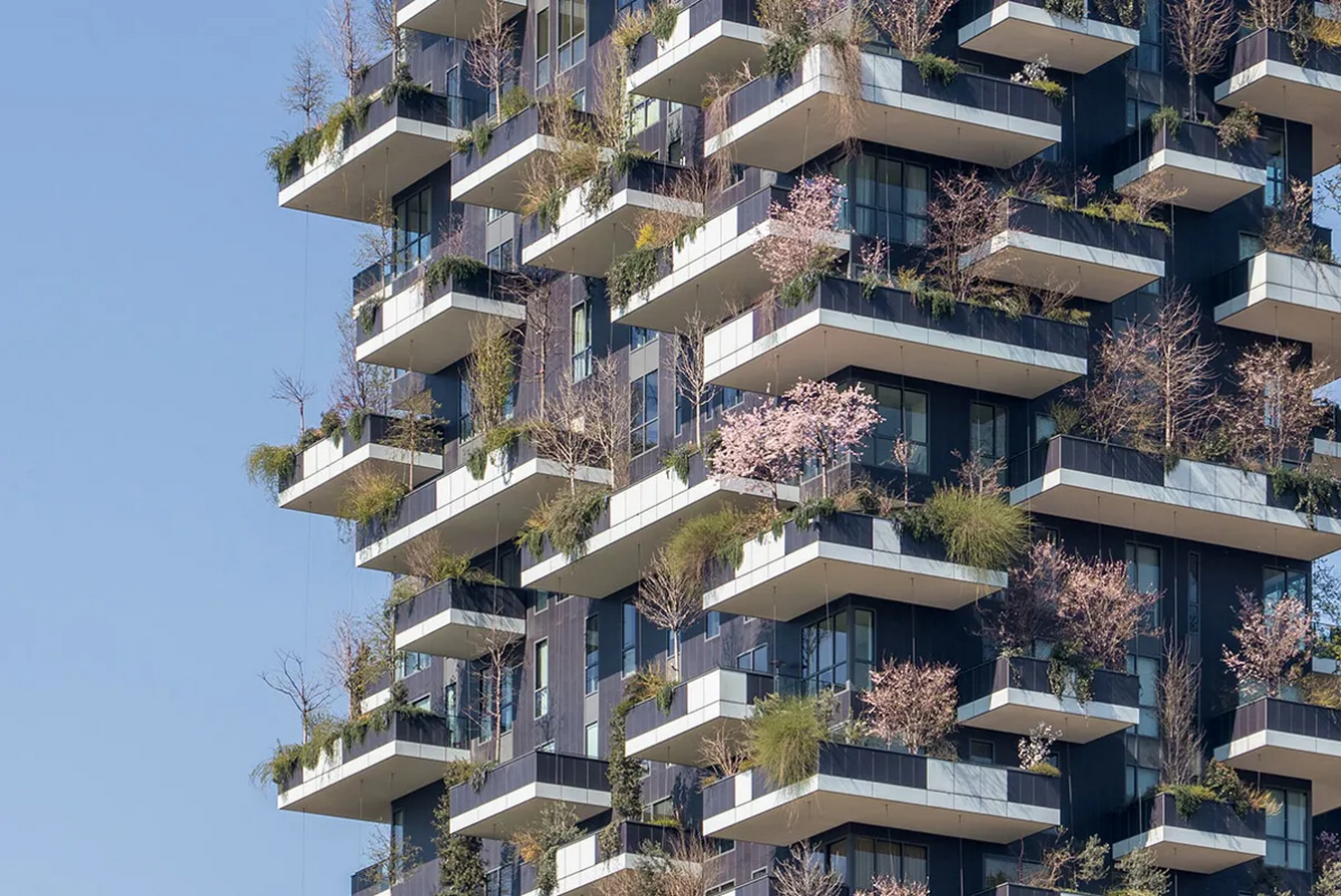 Is the Bosco Verticale a Real Solution or Just Expensive Foliage-Sheet3