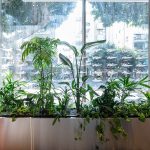 SAM&JO A Minimalist Sunglasses Store by YET Architecture-Sheet1