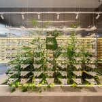 SAM&JO A Minimalist Sunglasses Store by YET Architecture-Sheet7