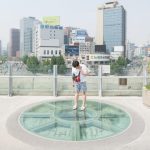 Understanding the plant village of Seoul-Sheet3