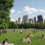 The Meaning of Architecture in the Modern City-Sheet4
