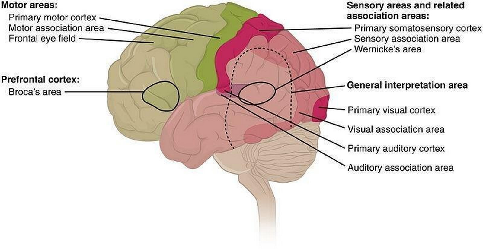 Article in Focus Cities and Mental Health by Oliver Gruebner, Michael A. Rapp, Mazda Adli, Ulrike Kluge, Sandro Galea, Andreas Heinz-Sheet2