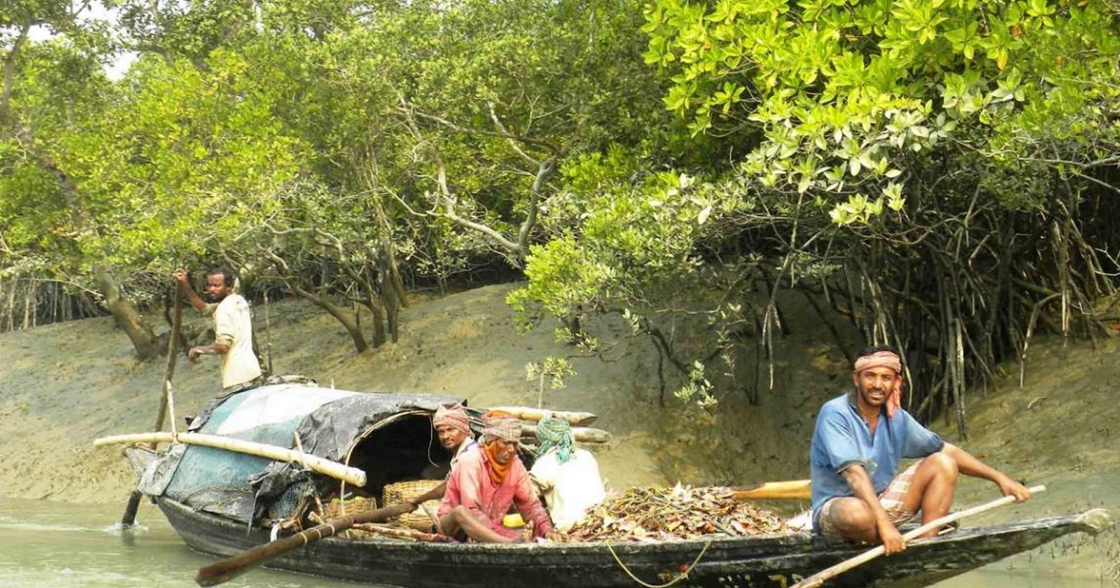 Youtube for Researchers: Sundarbans Is Sundarbans Because of Tigers: Decolonising Coexistence through Community Wisdom-Sheet3