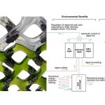 Algae Photobioreactors Developing to Rewrite The Rules of Architecture-Sheet2