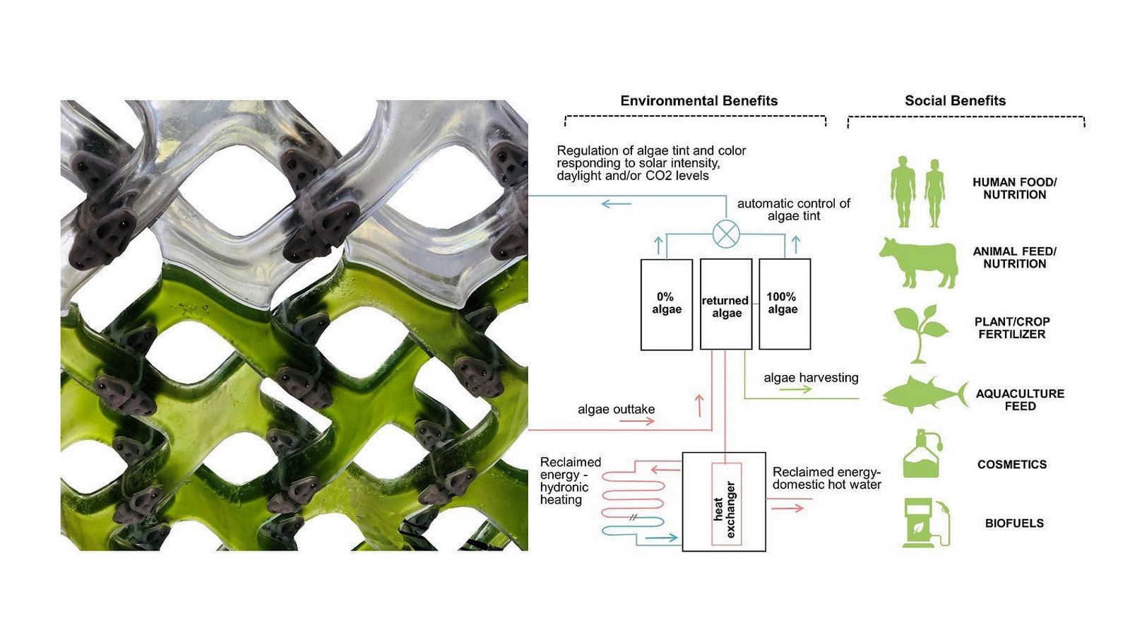 Algae Photobioreactors Developing to Rewrite The Rules of Architecture-Sheet2