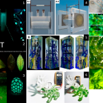Algae Photobioreactors Developing to Rewrite The Rules of Architecture-Sheet6