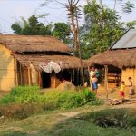 Architectural Creativity in Vernacular Design The Traditional Tharu Houses of Nepal-Sheet2