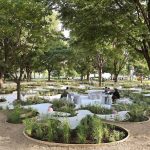 Designing with Non-Human Clients Rivers, Forests, and Species as Stakeholders-Sheet1