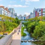 Designing with Non-Human Clients Rivers, Forests, and Species as Stakeholders-Sheet2