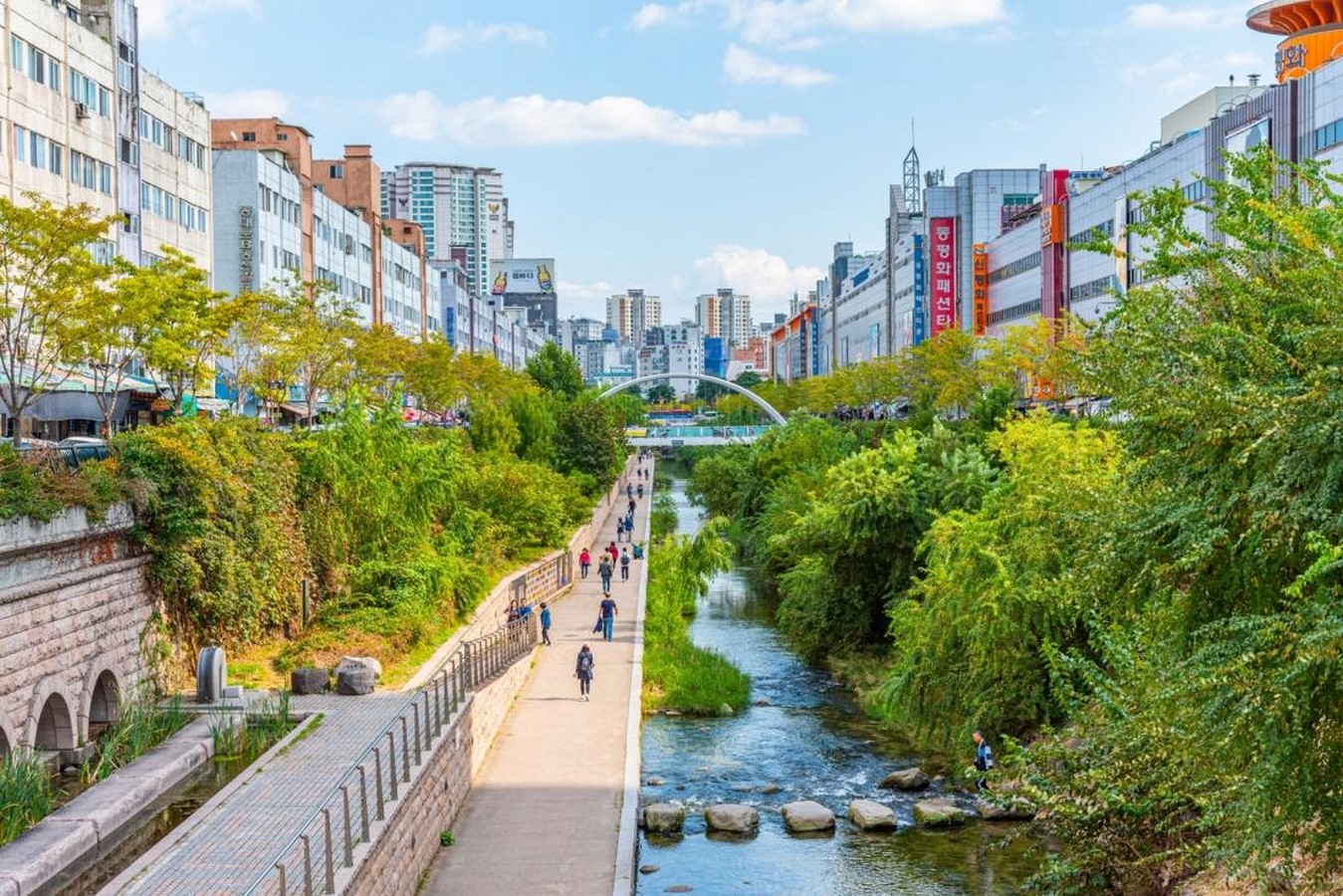Designing with Non-Human Clients Rivers, Forests, and Species as Stakeholders-Sheet2