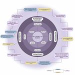Designing with Non-Human Clients Rivers, Forests, and Species as Stakeholders-Sheet5