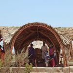 Bio-Based Aesthetics How Mycelium, Hemp, and Bio-Composites Are Redefining Beauty-Sheet2