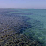 Forts in the world Qal’at al-Bahrain-Sheet5
