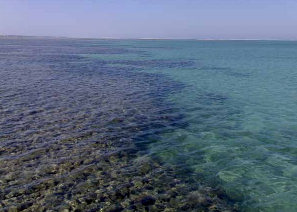 Forts in the world Qal’at al-Bahrain-Sheet5