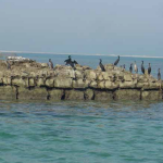 Forts in the world Qal’at al-Bahrain-Sheet7