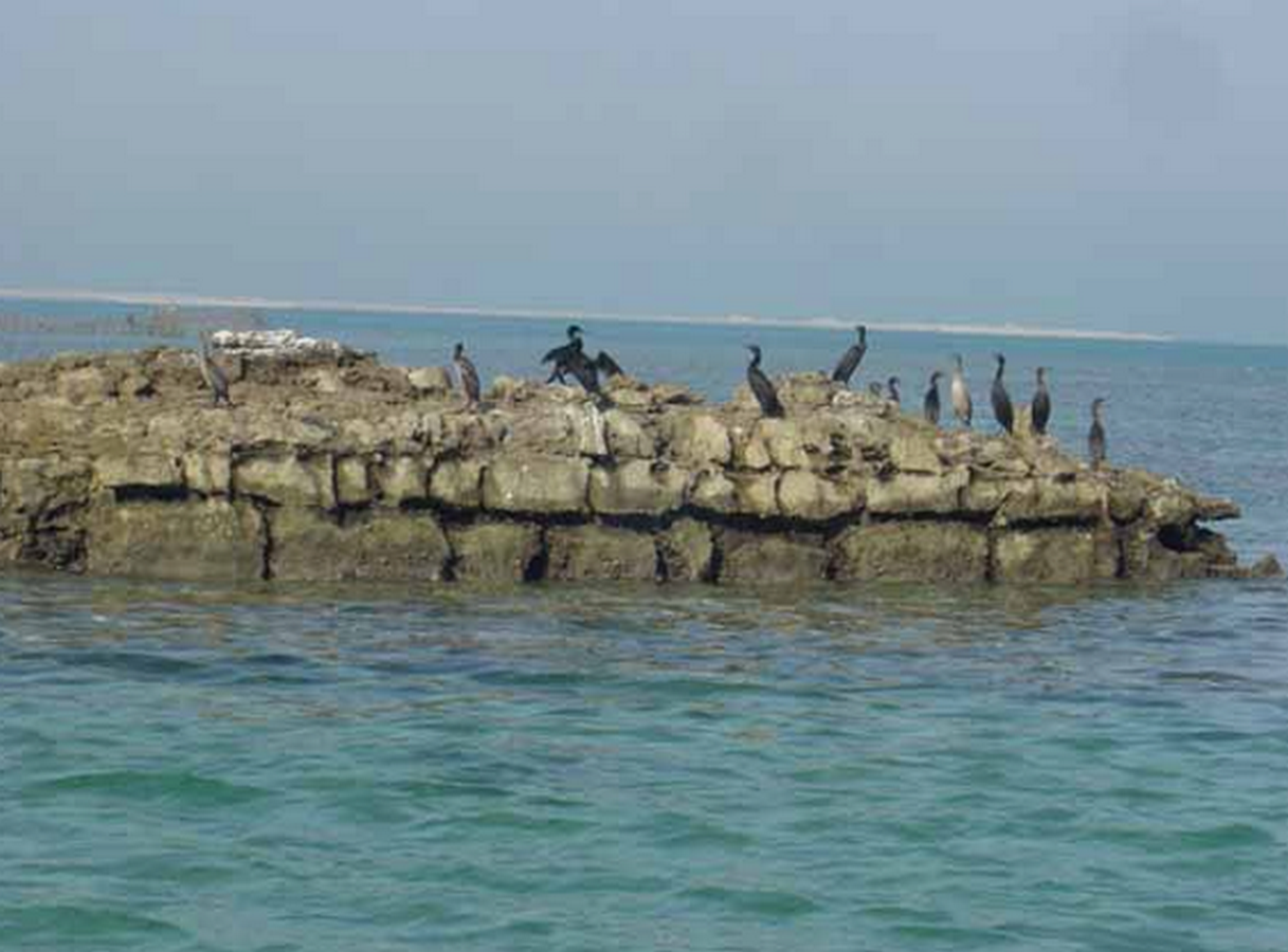 Forts in the world Qal’at al-Bahrain-Sheet7