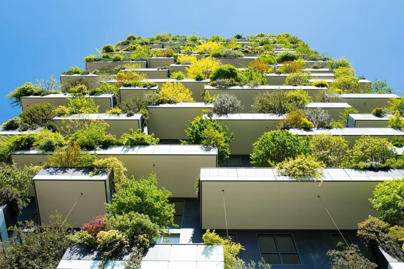Sustainability as Practice, Not Aesthetic-Sheet1