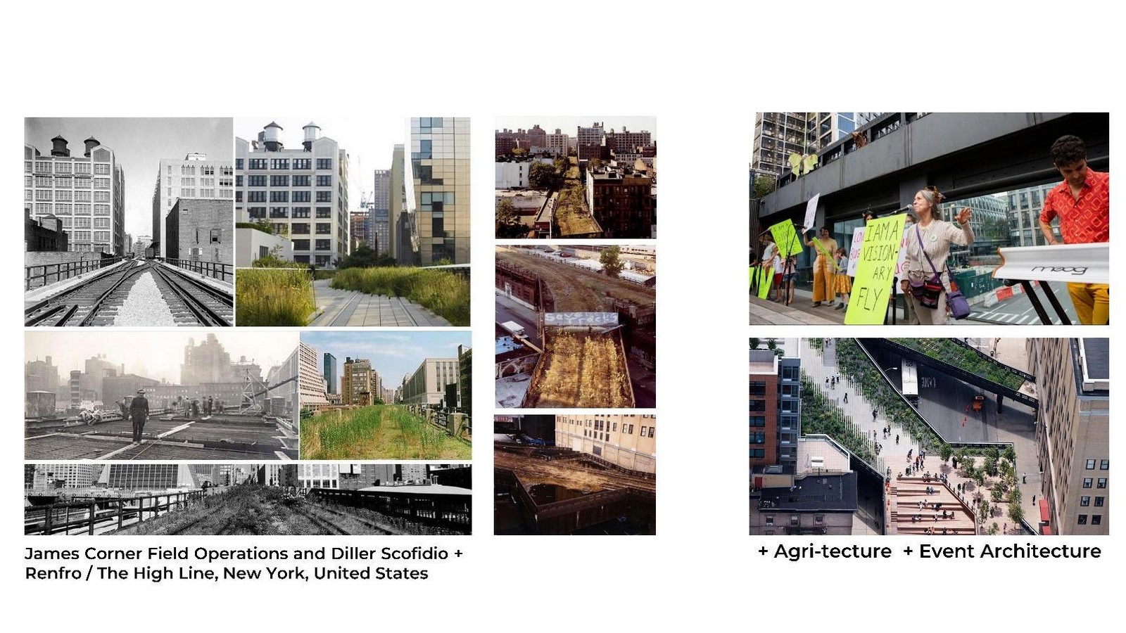 Paper Dreams Architecting the Critical Imaginary and the Rebirth of the Metropolis-Sheet14
