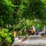 The Walkable City Urban Design Lessons from Traditional Indian Streets-Sheet5