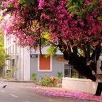 The Walkable City Urban Design Lessons from Traditional Indian Streets-Sheet6