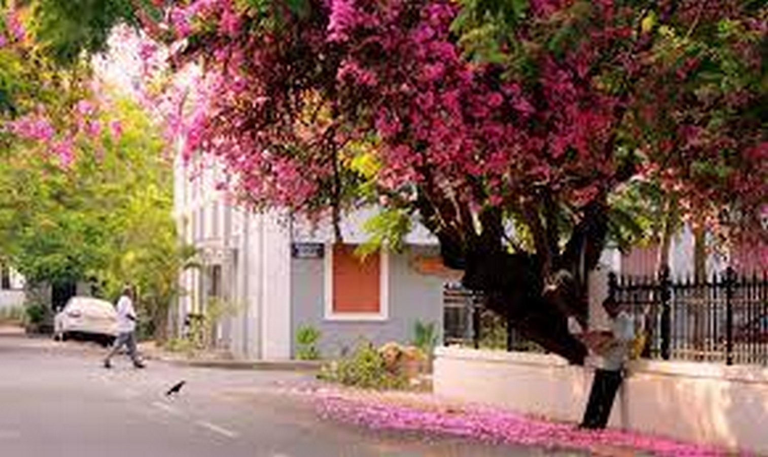 The Walkable City Urban Design Lessons from Traditional Indian Streets-Sheet6