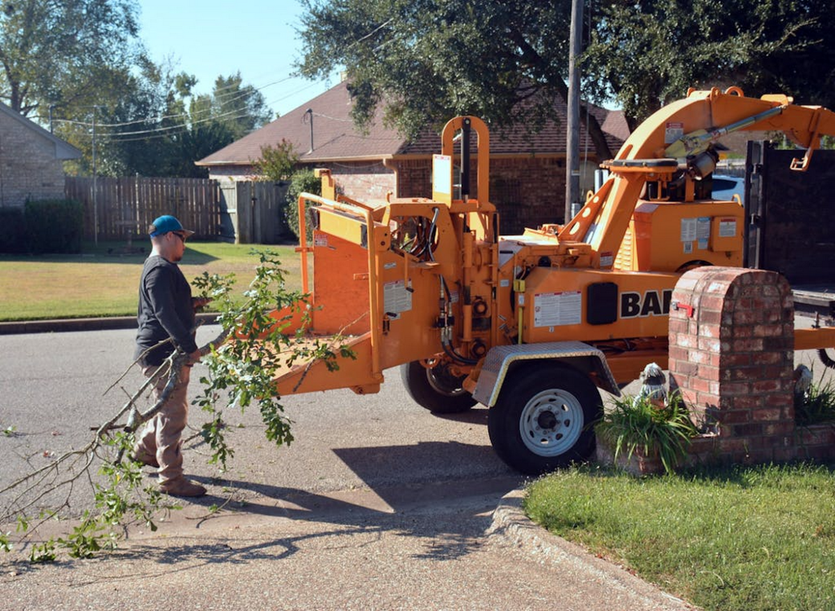 How Tree Removal Can Transform Your Outdoor Space - RTF | Rethinking ...