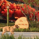 Qincheng Park by ProA Design-Sheet3