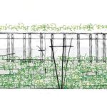METI Handmade School by Anna Heringer-Sheet9