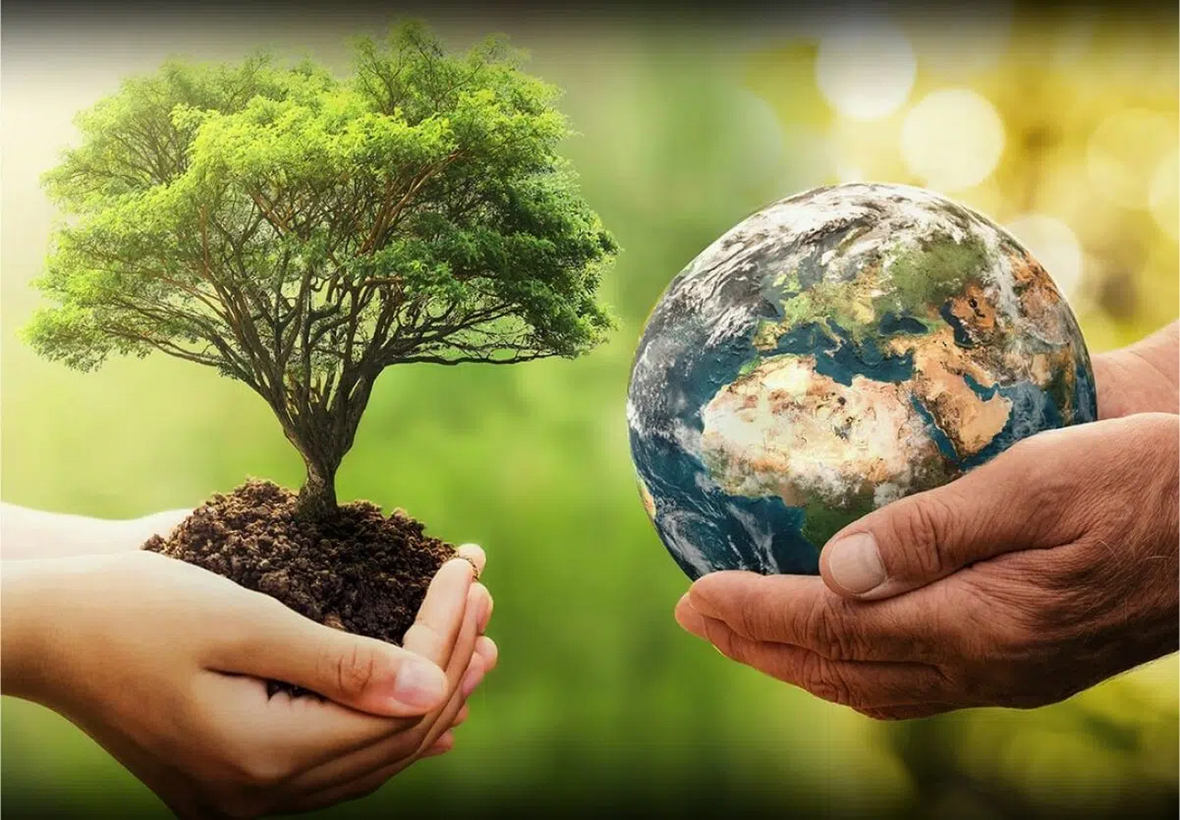 Revival of Ecology - Through Landscaping-Sheet1