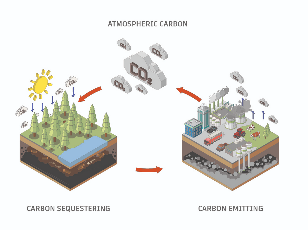 Towards climate positive design-Sheet1