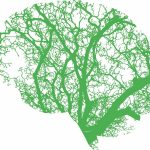 Europe’s Initiatives to Use AI in Hospital Design-Sheet5