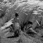 The Built Imaginary Cinematic Space as Narrative Protagonist in the Works of Tarkovsky, Ray, Lynch, and Villeneuve-Sheet8