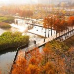 Water-Sensitive Architecture Reinterpreting Traditional Wisdom for Urban Futures-Sheet6