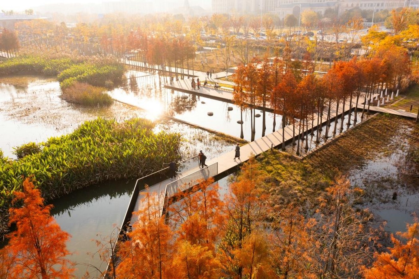 Water-Sensitive Architecture Reinterpreting Traditional Wisdom for Urban Futures-Sheet6