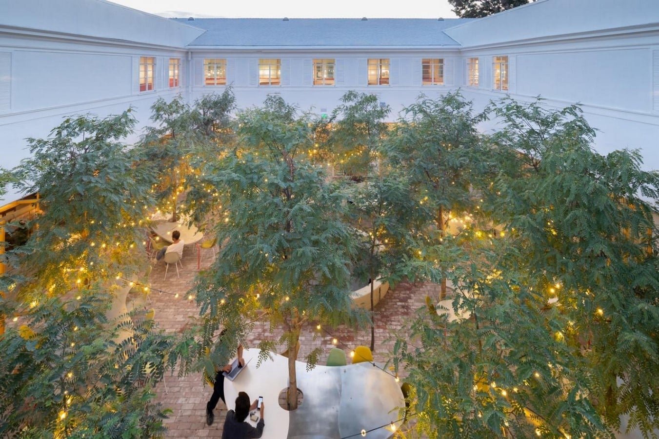The Forgotten Architecture of Shade: From Living Canopies to Air-Conditioned Cities Relearning Nature’s Wisdom for a Warming World-Sheet5