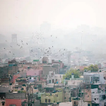Why Small Towns Offer Better Urban Lessons Than Megacities-Sheet5