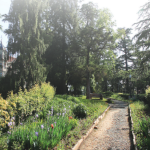 Indian Institute of Advanced Study, Shimla-Sheet7