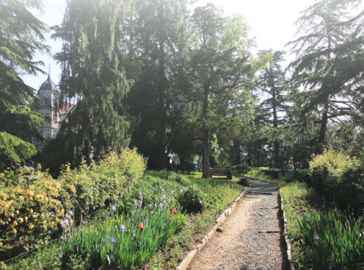 Indian Institute of Advanced Study, Shimla-Sheet7