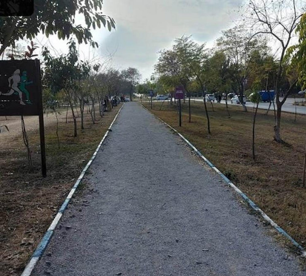 The Hidden Gender Bias in Our Public Park Designs-Sheet4