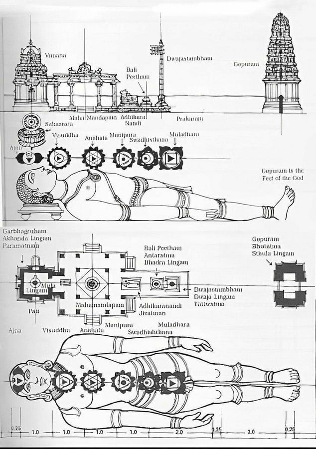 What Is a Dream Architectural Imagination in the Age of the Algorithm-Sheet4