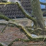 Street Furniture and the Design of Urban Belonging-Sheet5