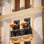 The Space Between How Balconies, Stoops, and Thresholds Shape Social Life-Sheet3