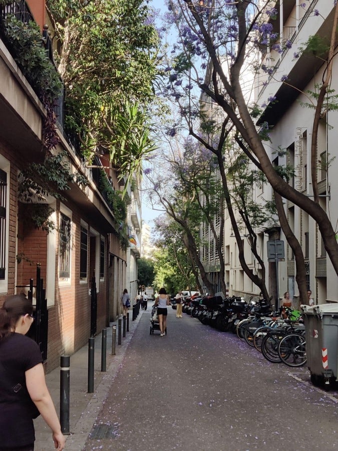 Who Owns the City Barcelona and the Question of Urban Identity-Sheet1