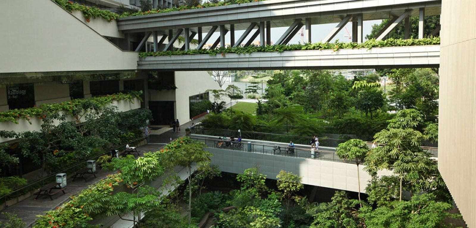 Biophilic Design Engaging with Physical and Mental Wellbeing, Neurodiversity and Climate Change-Sheet1